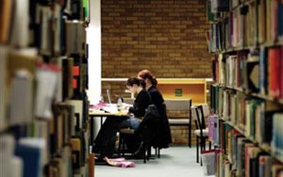 Students happily working in the library