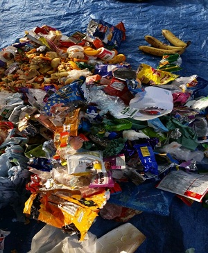 Waste produced by schools