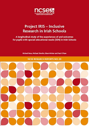 NCSE report cover