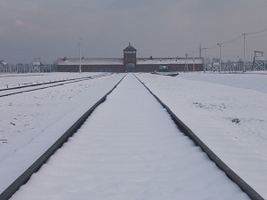Auschwitz Holocuast