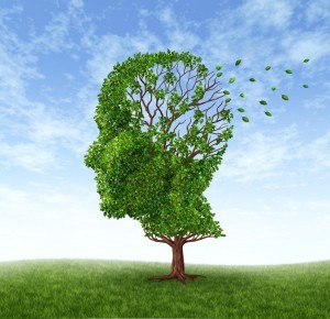 image tree dementia
