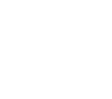 Ashoka Changemaker Logo