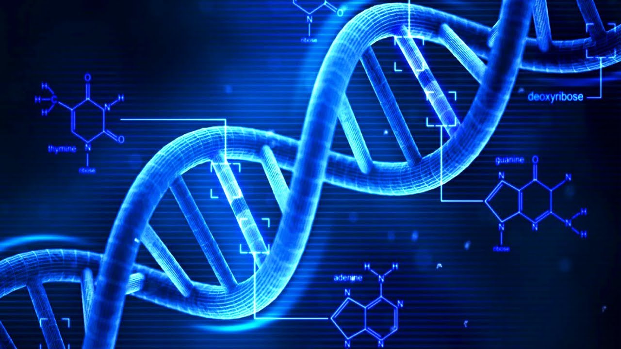 image dna structure biomedical