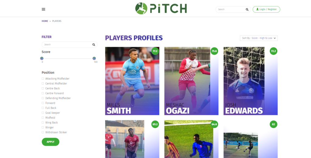 image screengrab pitch player profile