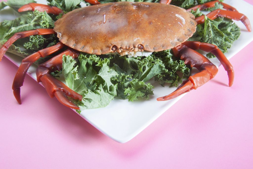 Photo of crab with plastic legs