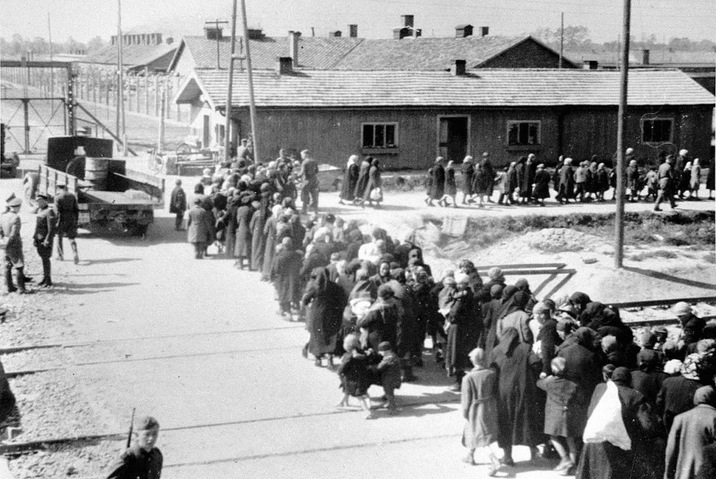 Photo of Hungarian women and children deported to Auschwitz in 1944 walking to gas chambers. In 1944, in only eight weeks, around 424,000 Jewish people were deported from Hungary to Auschwitz. 