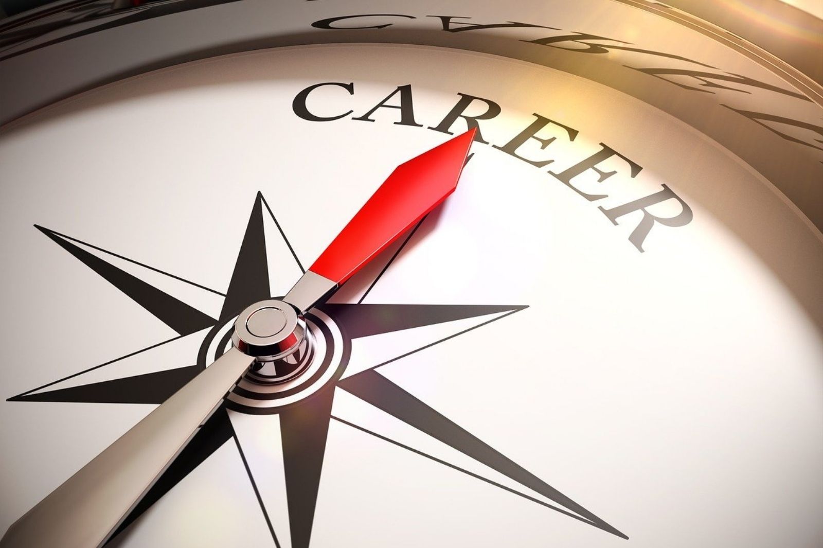 Career compass image