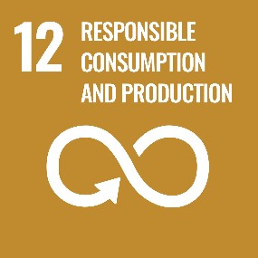 SDG12 Responsible Consumption and Production tile with logo
