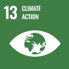 SDG13 Climate Change tile with logo