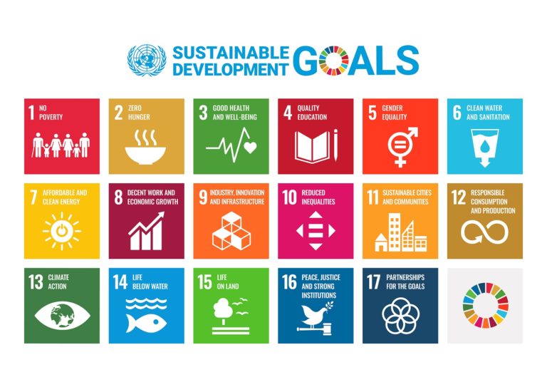 sustainable development goals case study