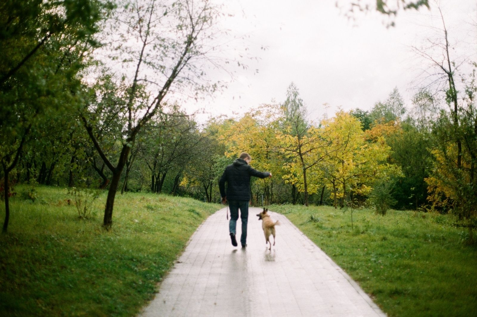 Man walking a dog in a park
