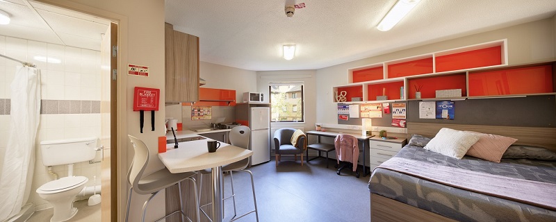 Interior view of single studio in Scholars Green Halls