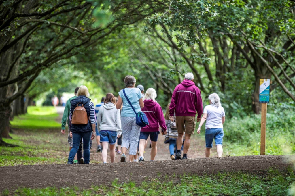 Group of people walking through forest.