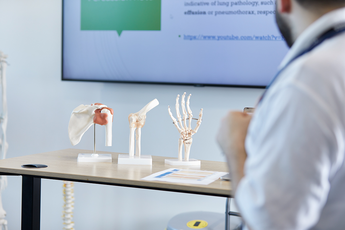 Inside the Physiotherapy classroom, where in front of a electronic whiteboard is three examples of different joints (hip, leg, and wrist) on the table to demonstrate to students.