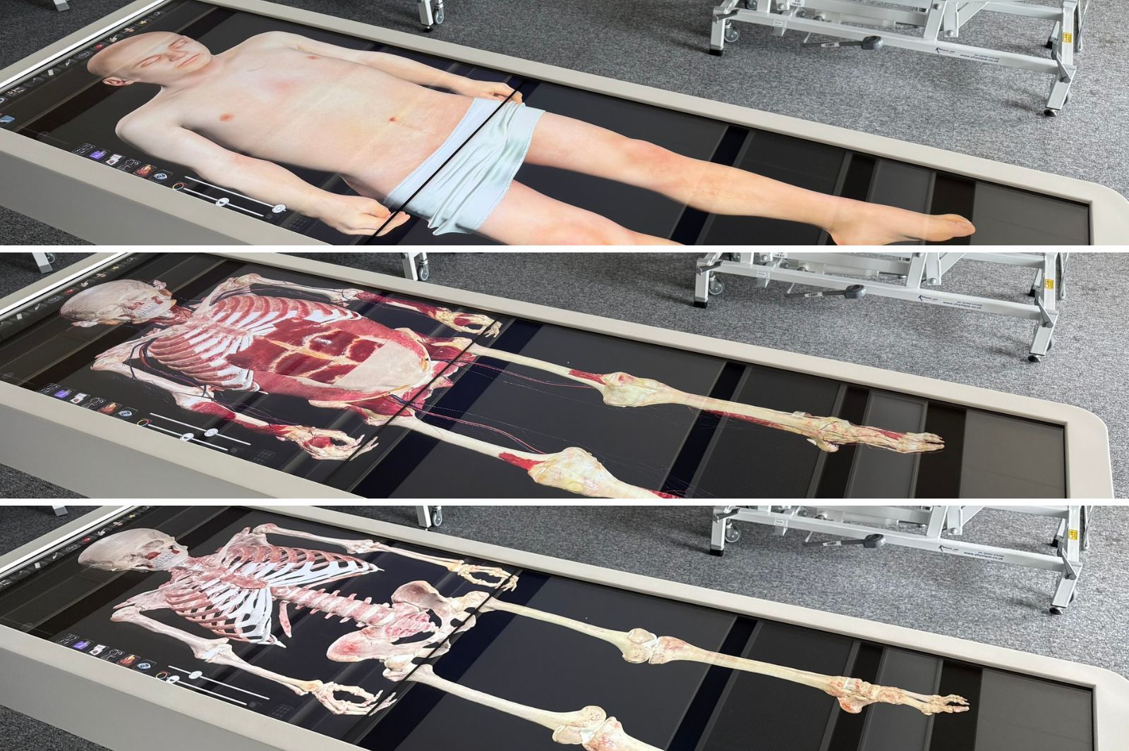 Anatomage 3D Table