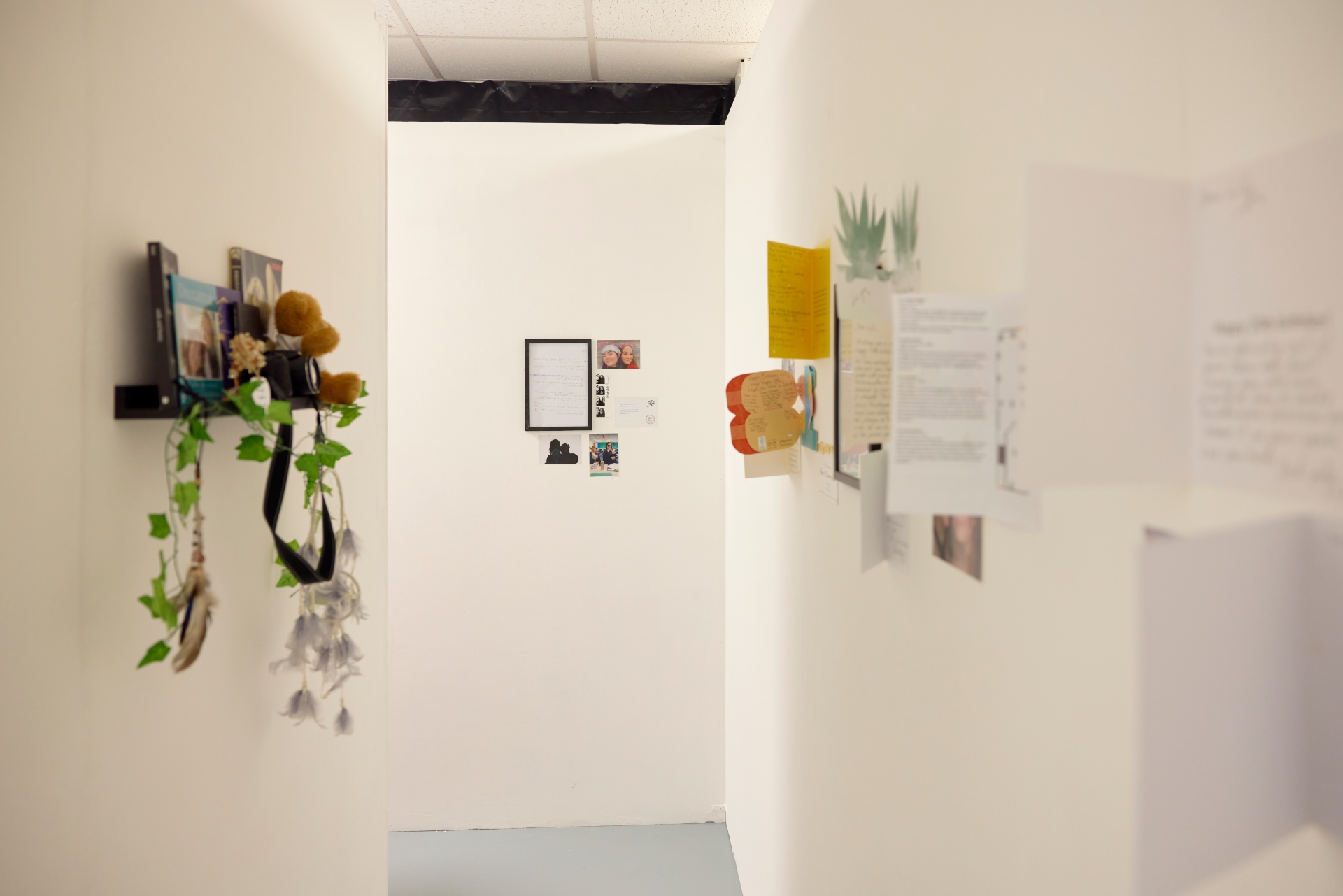 Student installation fills a narrow gallery corridor with hanging objects, plants, soft toys and photographs attached to the walls.