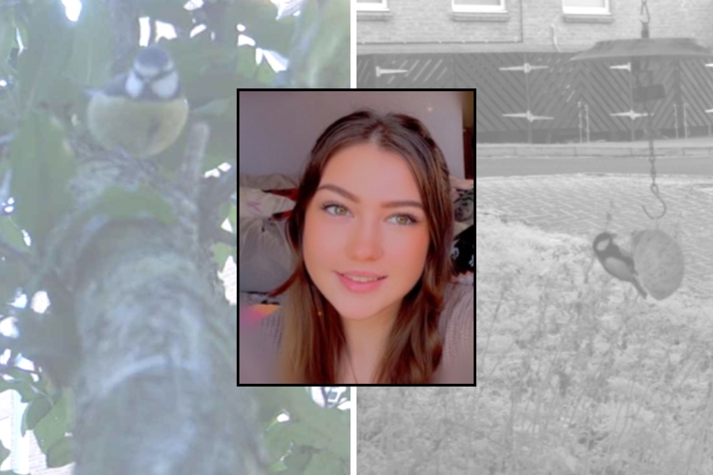 Student smiles at camera. Photo is overlayed on two pictures of birds.