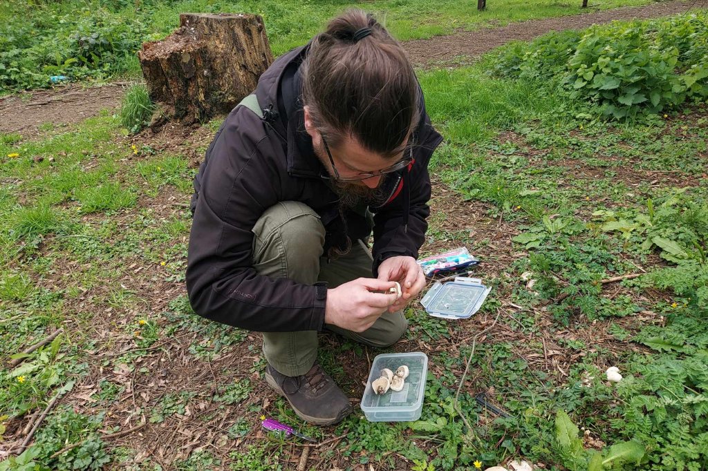 Student crouched on the grass looking closely at a mushroom sample.