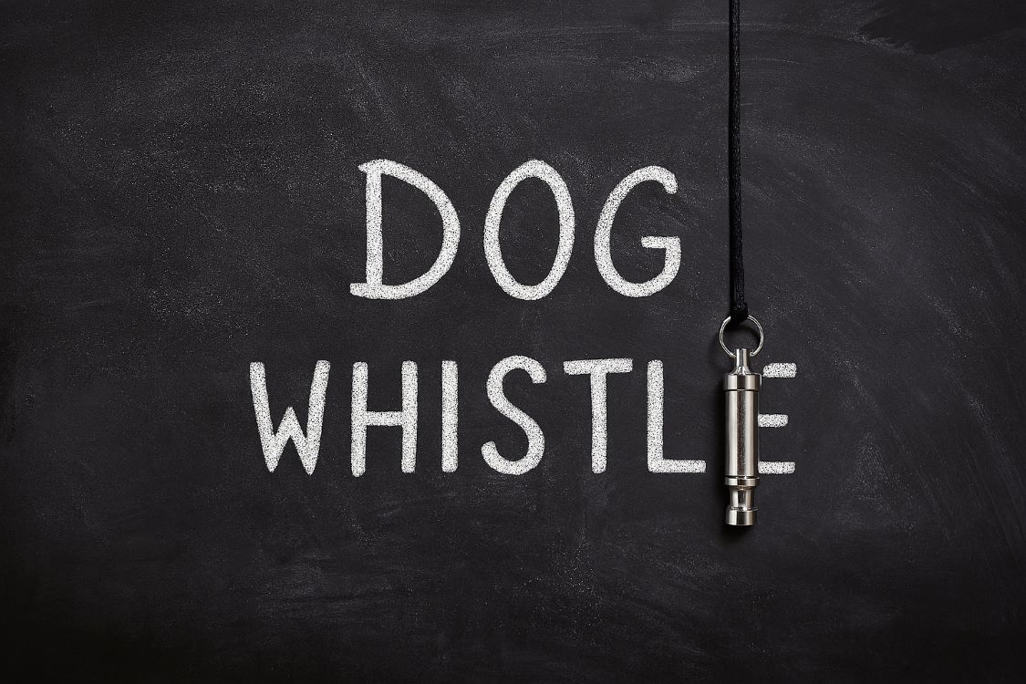 A blackboard with the words 'Dog Whistle' written in white chalk. A metal whistle hangs down, to form part of the letter 'E'.