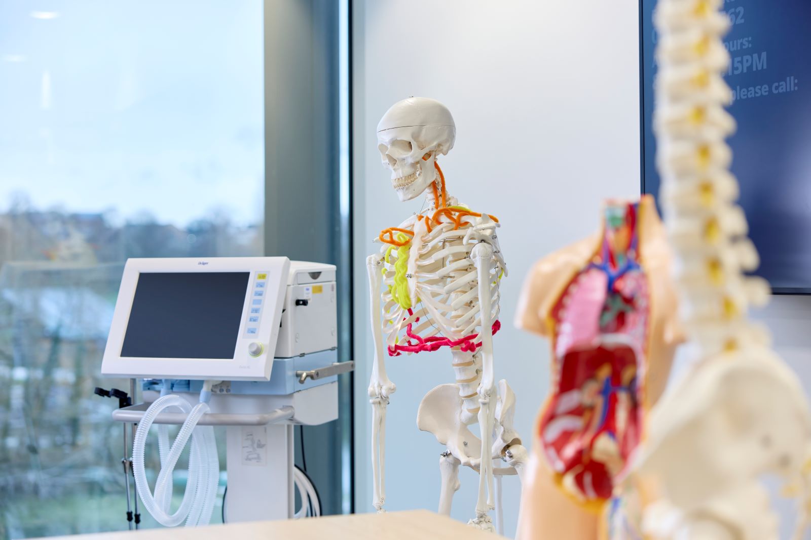 View of equipment in Physiotherapy lab, including a hospital monitor, and anatomical models including a skeleton and human body models.