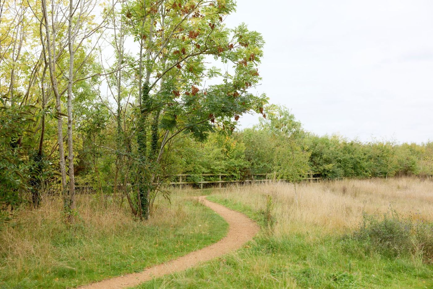 An outdoor gravel path on Waterside campus