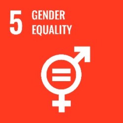 SDG5 Gender Equality tile with logo