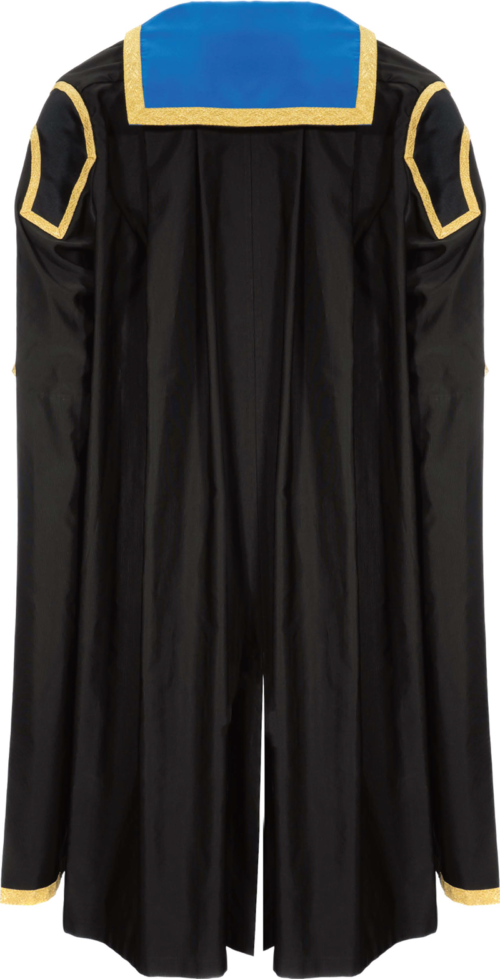 Chair of Council graduation gown from the back