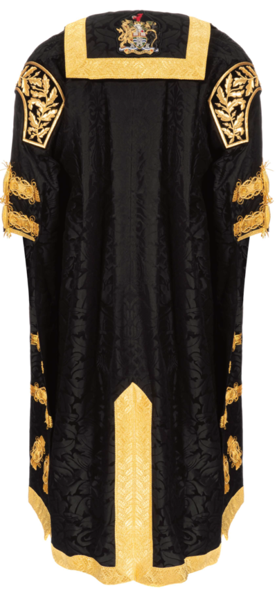 Chancellor graduation gown from the back