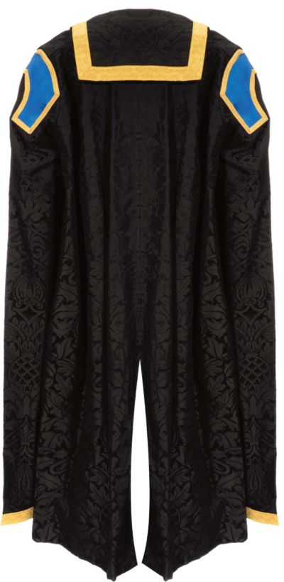 Deputy Vice-Chancellor graduation gown from the back