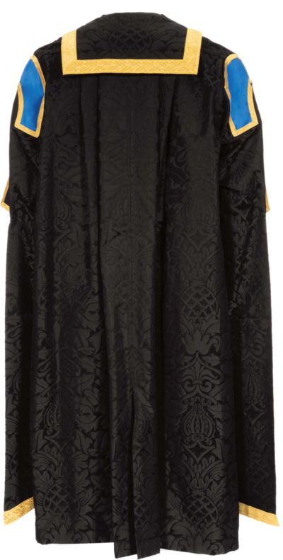 Pro-Chancellor graduation gown from the back