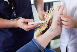 A client's foot with pen marks on them. A hand is holding a foot model, while another hand holds the client foot.