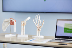 Two joints and a hand model next to a laptop, in a physiotherapy lab.