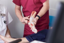 A medical professional in red scrubs uses an anatomical model of a foot to explain something to another person in UON's Podiatry Clinic.