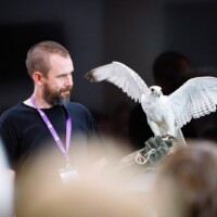 - a member of the Bird on a Hand team is pictured holding a bird of prey during STEAM Northants 2025.