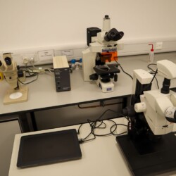 Three microscopes are arranged on a laboratory workbench alongside scientific equipment, cables, and supplies in a well-lit lab setting.