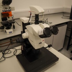 A Leica stereo microscope with dual eyepieces and lamp is positioned on a lab table; another optical microscope is visible in the background.