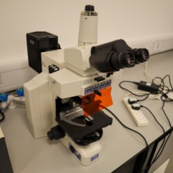 A compound laboratory microscope with dual eyepieces is placed on a lab bench next to power strips and electrical outlets.