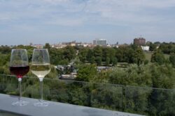 Two wine glasses, one with red wine and one with white wine, sit on a ledge overlooking a cityscape with trees and buildings in the background.