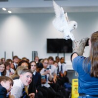 A woman holds a barn owl on her gloved hand in front of a seated group of students in a classroom setting.