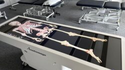 View of the Anatomage table displaying a full human skeleton.