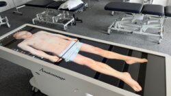 View of the Anatomage table displaying a full semi-naked human body.