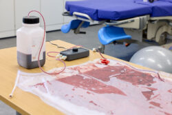Placenta simulation equipment in a midwifery skills lab showing blood flow to the placenta for maternity and childbirth training. Emergency scenario simulation demonstrating post partum haemorrhage including effective recognition and management