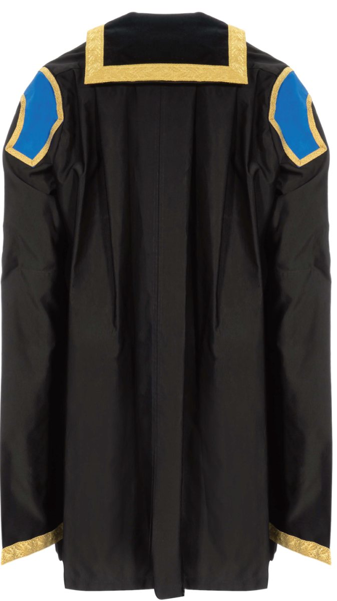 Academic Registrar graduation gown from the back
