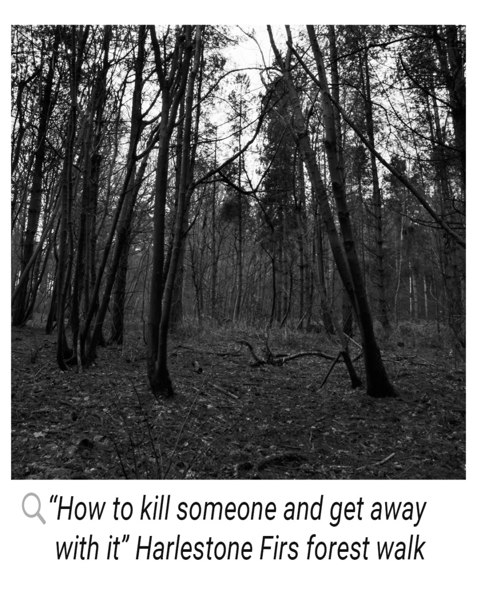 In the middle of a dark forest with a quote alongside it “how to kill someone and get away with it” Harlestone firs forest walk