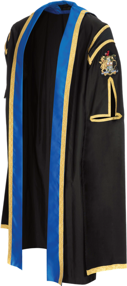 Chair of Council graduation gown from the front