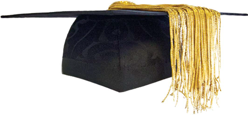 Chief Operating Officer graduation hat