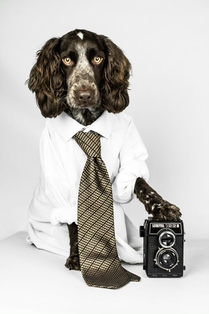 Portrait of a dog posing with a vintage camera