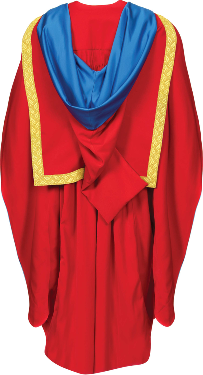 Honorary Doctorate graduation gown from the back