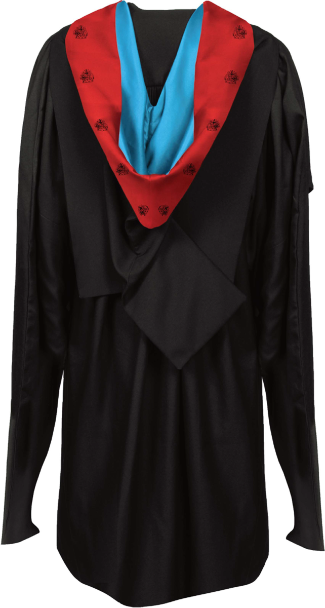 Master of Art graduation gown from the back