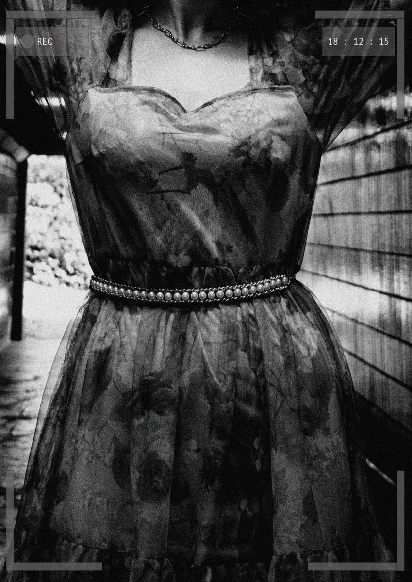 closeup of the dress